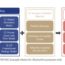 Asset-Allocation-for-Private-Investments